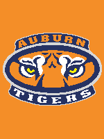 Load image into Gallery viewer, Auburn Tigers (twin / throw)
