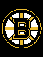 Boston Bruins (twin / throw)