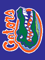 Load image into Gallery viewer, Florida Gators (twin / throw)
