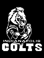Load image into Gallery viewer, Indianapolis Colts Strong Horse (twin / throw)
