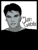 Load image into Gallery viewer, Juan Gabriel (twin / throw)
