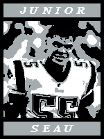 Load image into Gallery viewer, Junior Seau 55 (twin / throw)
