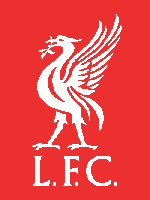 Load image into Gallery viewer, Liverpool FC (twin / throw)
