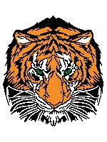 Load image into Gallery viewer, Tiger&#39;s Head (twin / throw)
